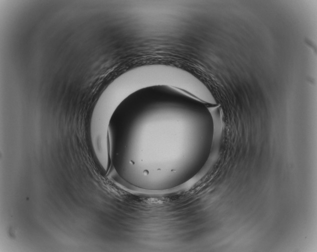 X0000097990566200804141144