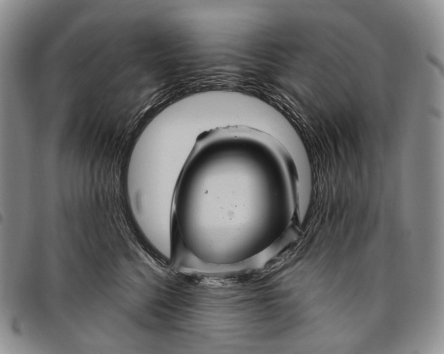 X0000097990568200804141144