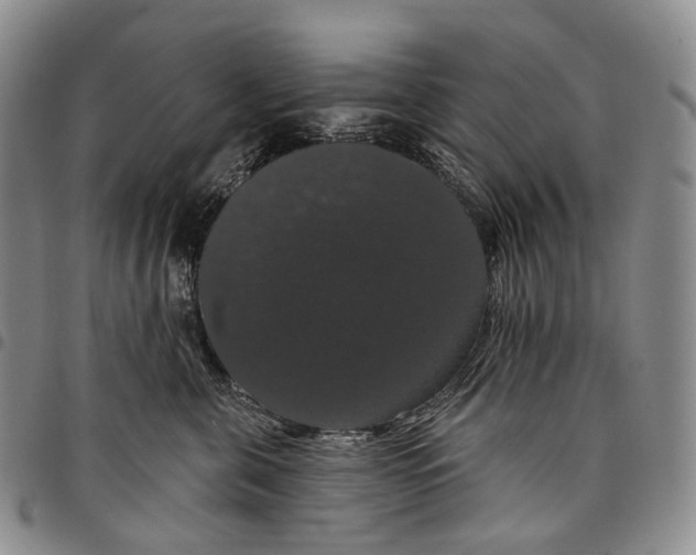 X0000097990571200804141144