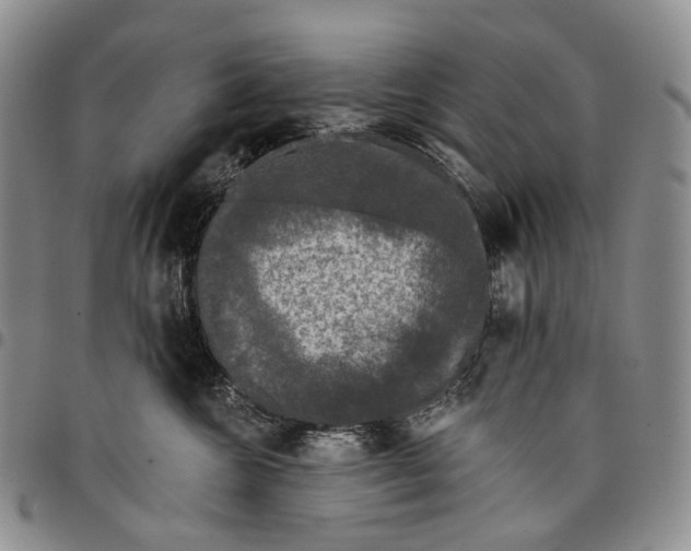 X0000097990572200804141144