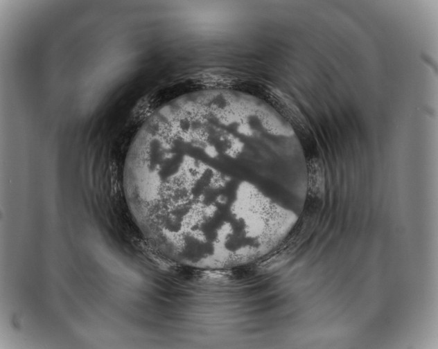 X0000097990573200804141144