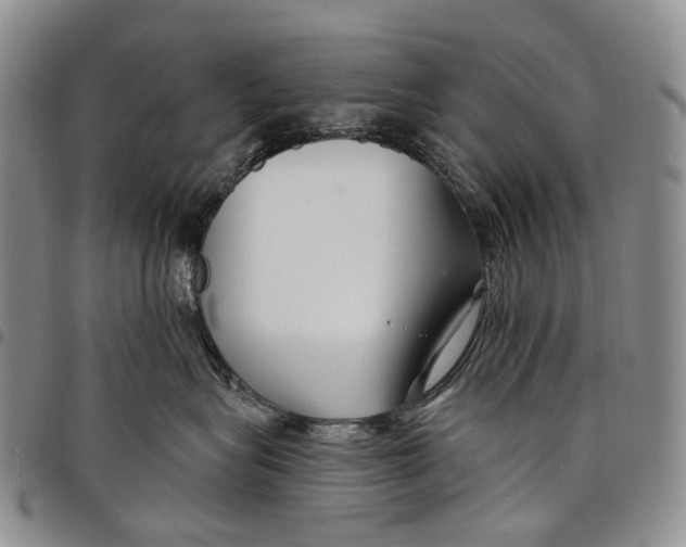 X0000097990575200804141144