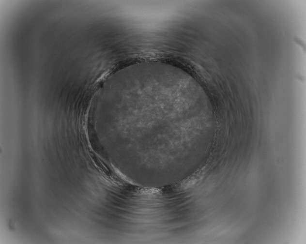 X0000097990576200804141144