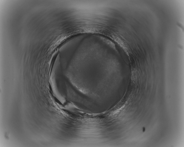 X0000097990577200804141144