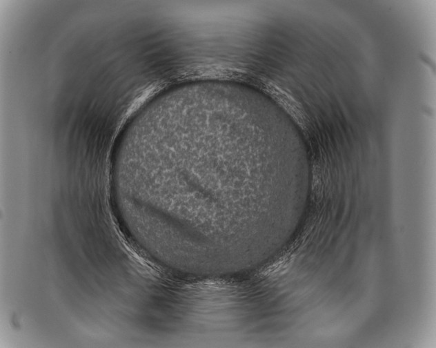 X0000097990578200804141143