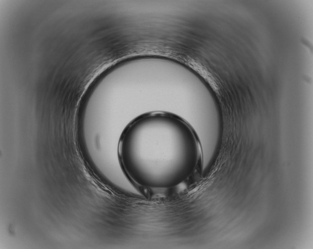 X0000097990580200804141143