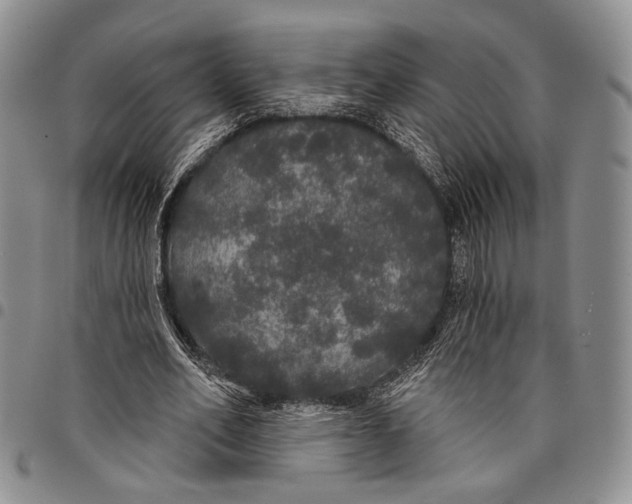 X0000097990582200804141143