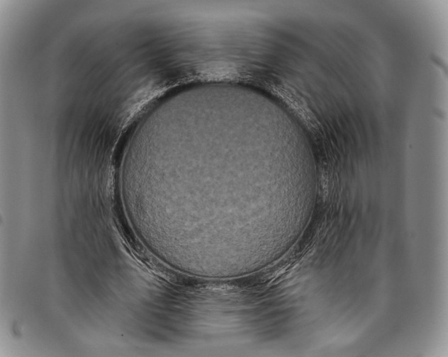 X0000097990583200804141143