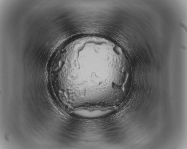 X0000097990584200804141143