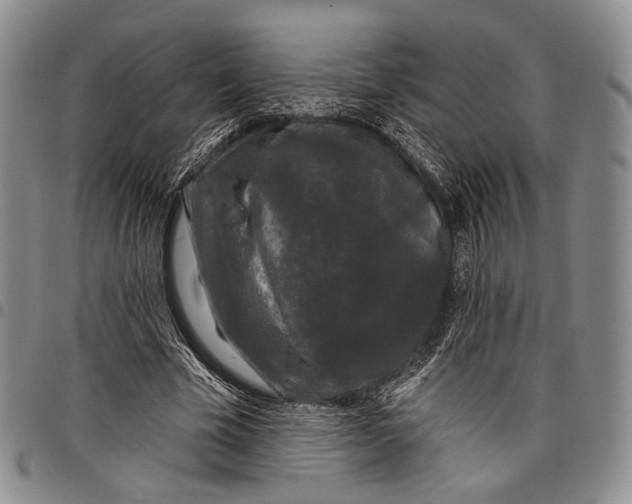 X0000097990585200804141143