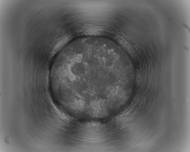 X0000097990586200804141143