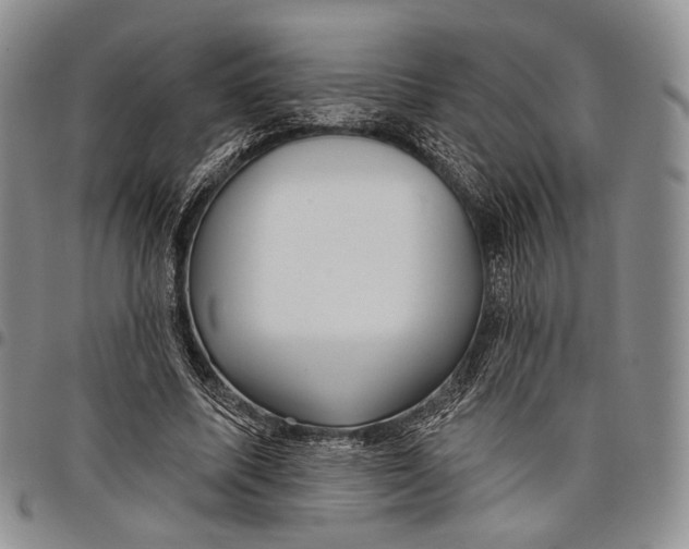 X0000097990587200804141143