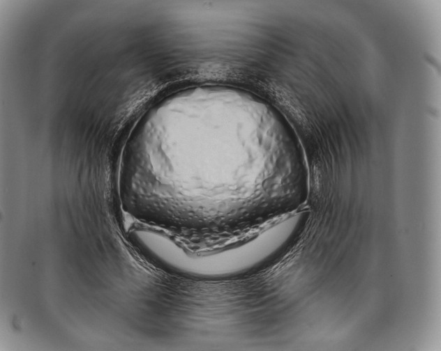 X0000097990588200804141143