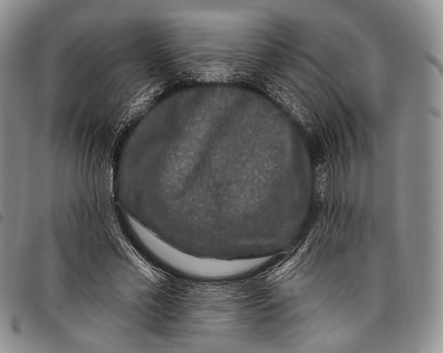 X0000097990589200804141143