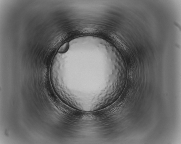 X0000097990591200804141143