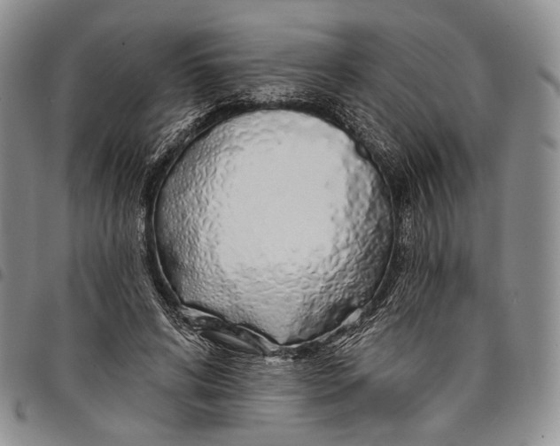 X0000097990592200804141143