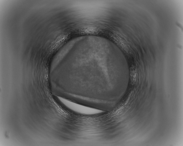X0000097990593200804141143