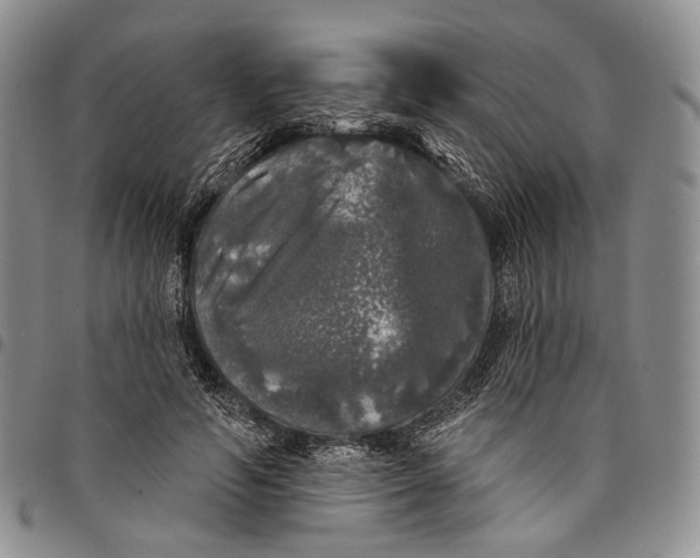 X0000097990594200804141143