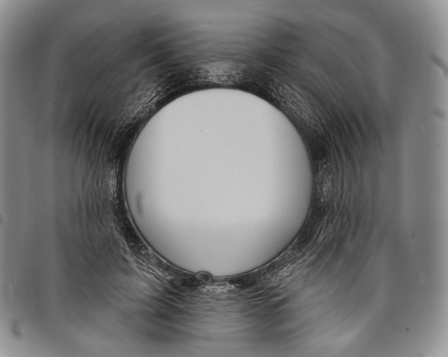 X0000097990595200804141143