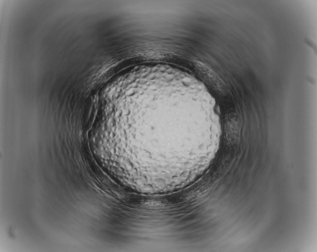 X0000097990596200804141143