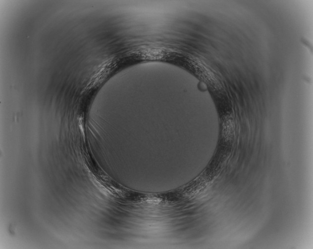 X0000097990598200804141143