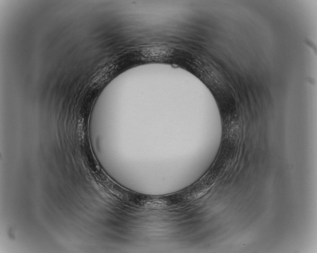 X0000097990599200804141143