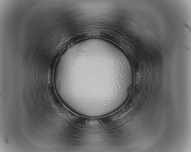 X0000097990600200804141143
