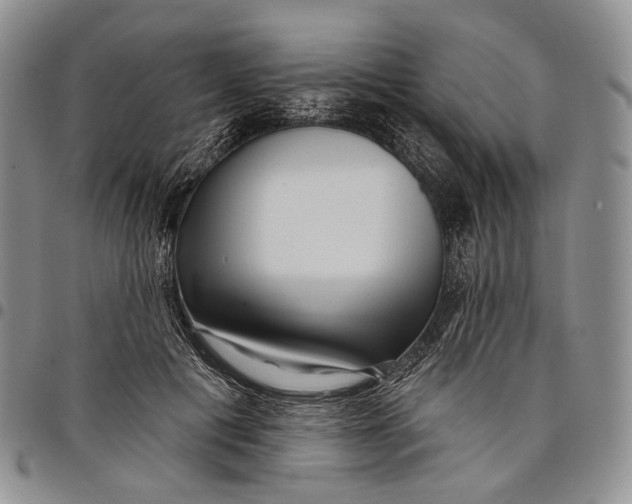 X0000097990601200804141143