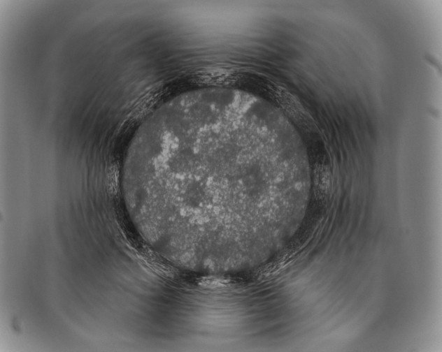 X0000097990602200804141143