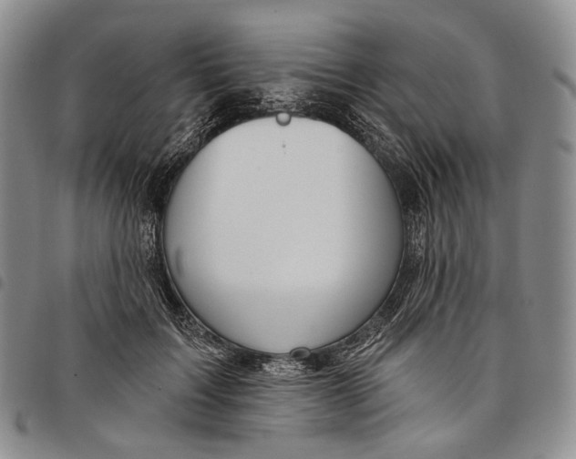 X0000097990603200804141143