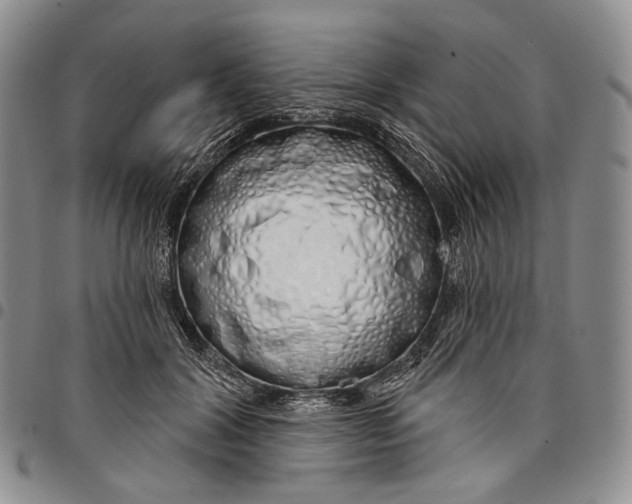 X0000097990604200804141143