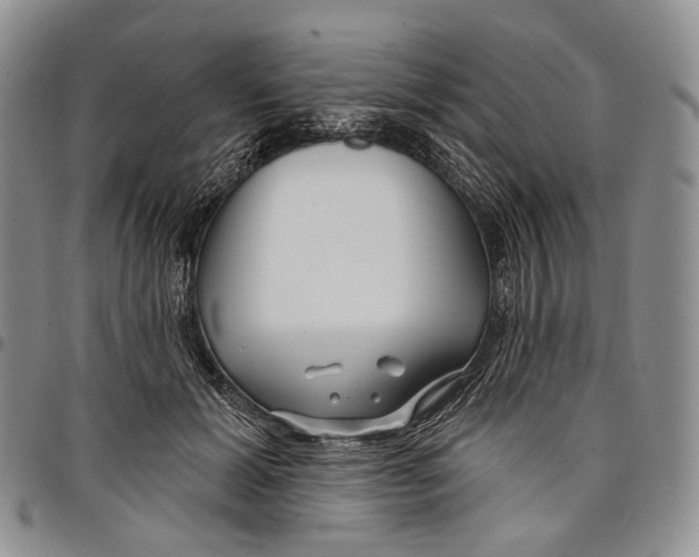 X0000097990605200804141143
