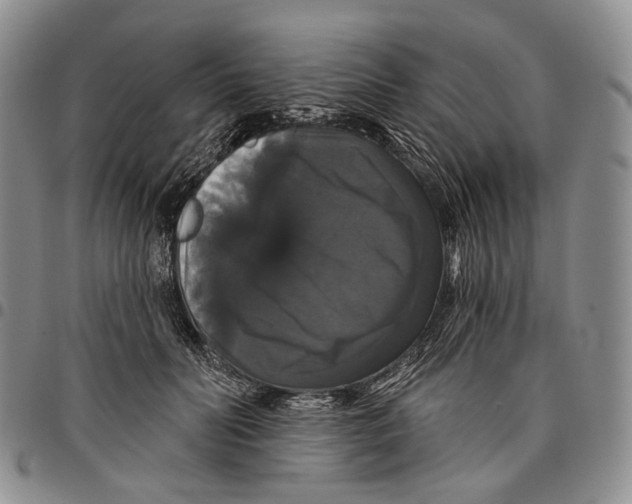 X0000097990606200804141143