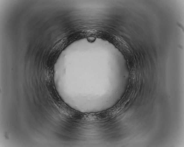 X0000097990607200804141143