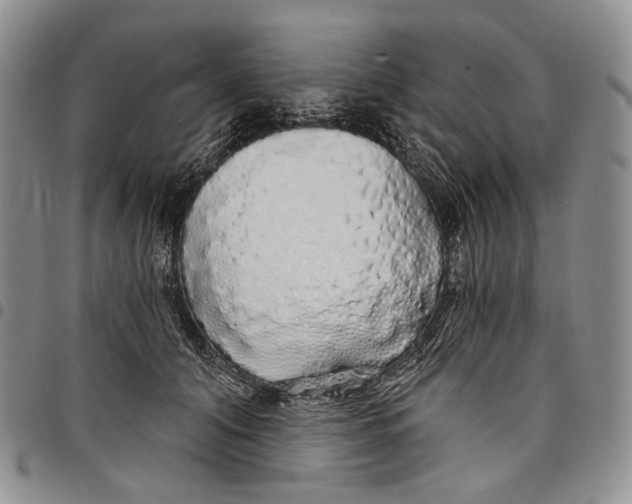 X0000097990608200804141143