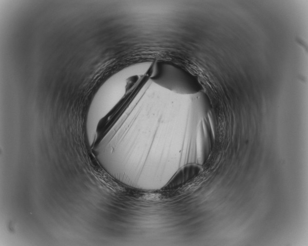 X0000097990609200804141143