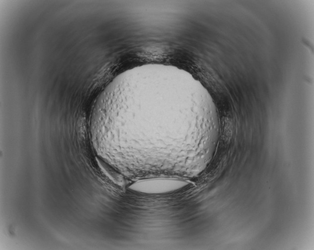 X0000097990612200804141143