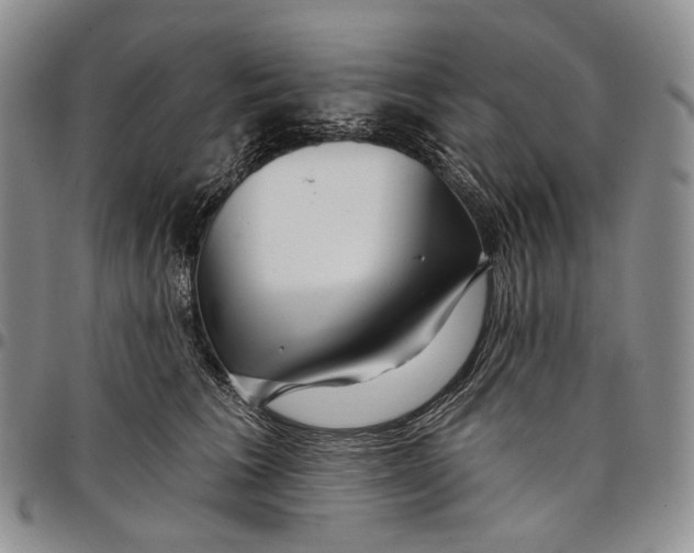 X0000097990613200804141143
