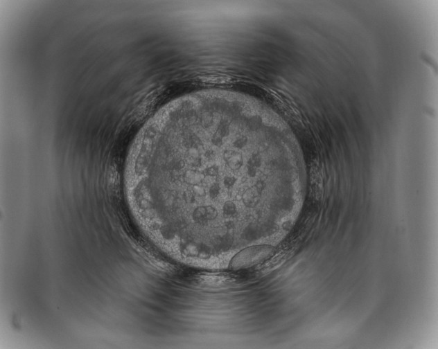 X0000097990614200804141143