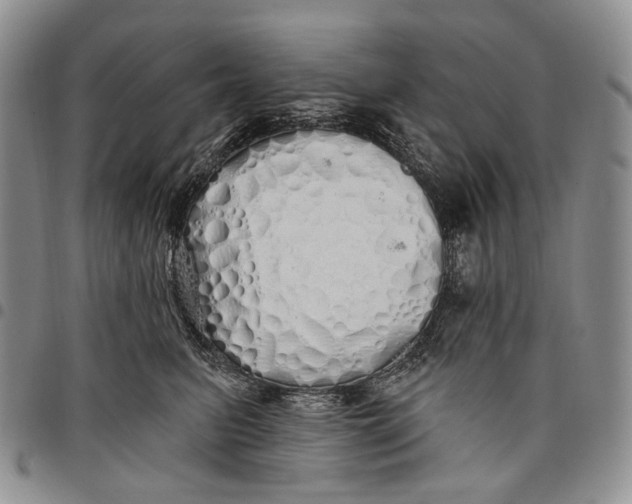 X0000097990615200804141143