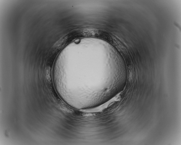 X0000097990616200804141143