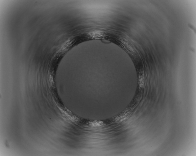 X0000097990618200804141143