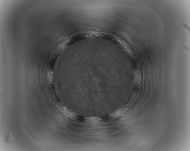 X0000097990621200804141143