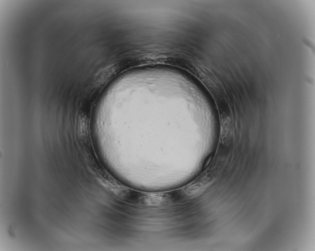X0000097990623200804141143