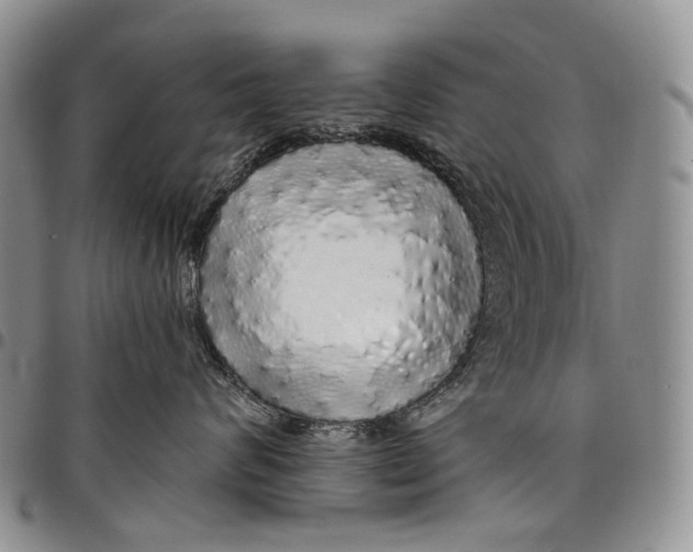X0000097990624200804141143