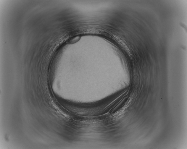 X0000097990625200804141142
