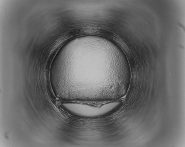 X0000097990626200804141142