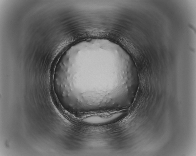 X0000097990630200804141142