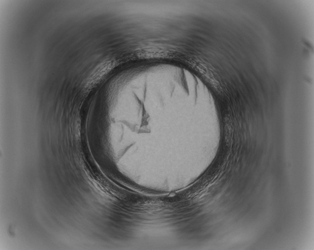 X0000097990631200804141142