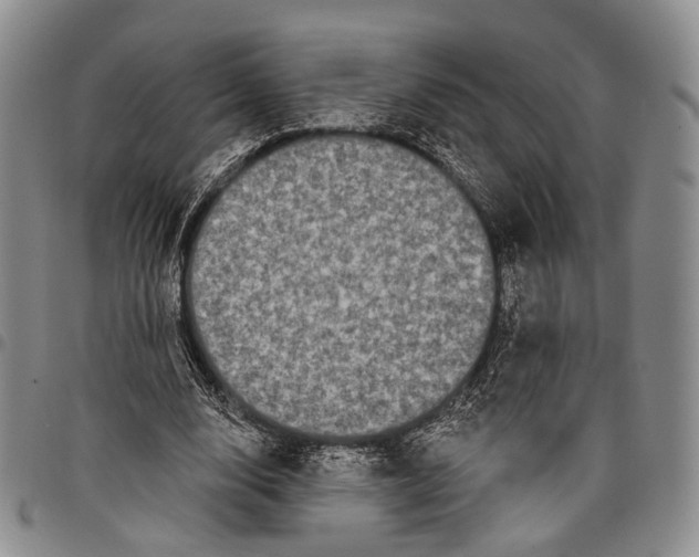 X0000097990632200804141142